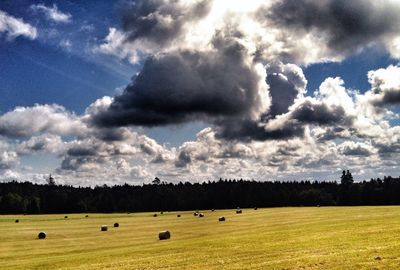 Scenic view of grassy field against cloudy sky