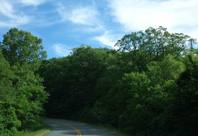 Road amidst trees against sky