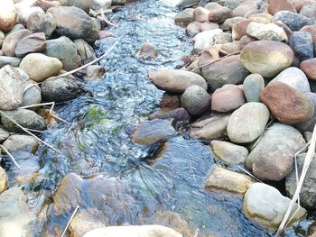 Close-up of pebbles on beach