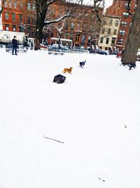 Aerial view of snow covered street amidst buildings in city