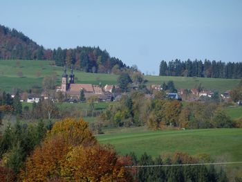 Scenic view of field against clear sky during autumn