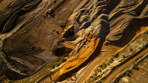 High angle view of tree trunk