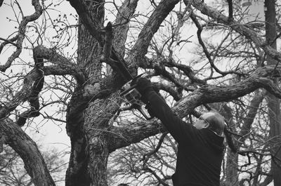 Low angle view of bare trees against sky