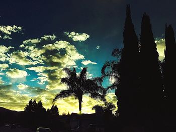 Low angle view of silhouette trees against sky at night