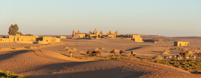 View of a oasis with buildings and camels in a desert. 