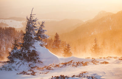 Scenic view of snow covered mountains against sky