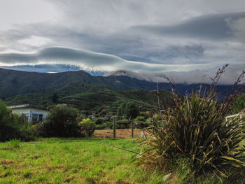 Scenic view of field against sky