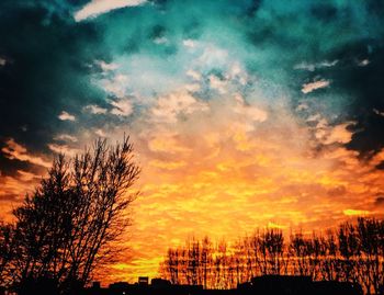 Low angle view of silhouette trees against orange sky