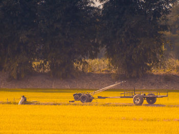 View of yellow cart on field