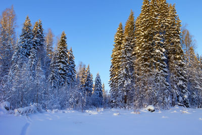 snow