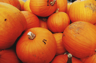 High angle view of pumpkins for sale in market