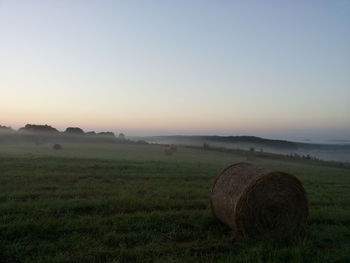 Scenic view of grassy field against sky