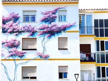 Low angle view of pink flowering tree by building