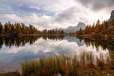 Mountain autumn landascape of dolomites alps, croda da lago, belluno, veneto, italy. lago federa.