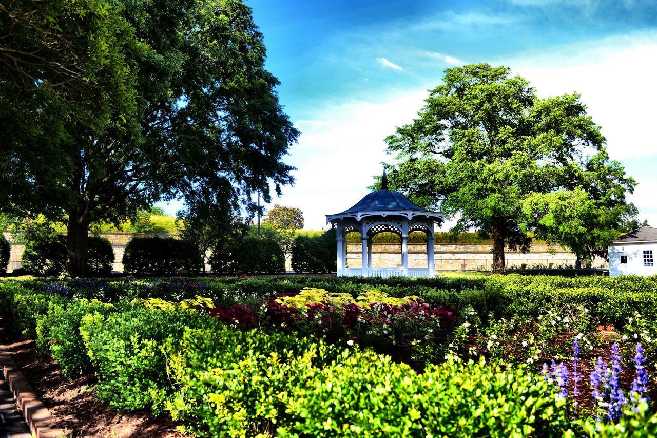 VIEW OF PLANTS GROWING IN PARK