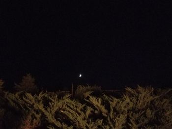 Illuminated moon in sky at night