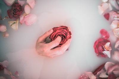 Cropped hand of woman holding rose in bathtub