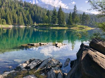 Panoramic view of lake in forest