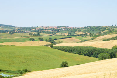 Scenic view of agricultural field against clear sky