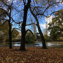 Trees growing by lake against sky during autumn