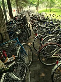 Bicycle parked by tree