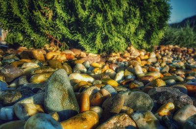 Close-up of pebbles on beach