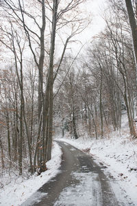 Road amidst bare trees during winter