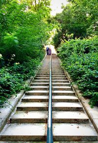 View of stairs in park