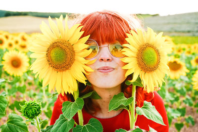 Close-up of sunflower