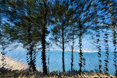 High angle view of trees by lake against sky