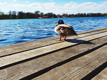 View on pier by lake against sky