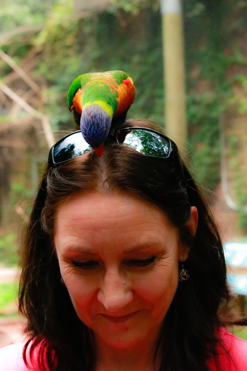 headshot, portrait, one person, lifestyles, real people, focus on foreground, women, leisure activity, hairstyle, bird, females, day, adult, smiling, vertebrate, multi colored, hair, outdoors