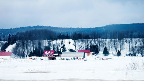 Snow covered field