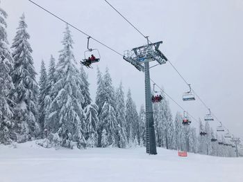 Ski lift surrounded by forest of evergreen trees covered in snow