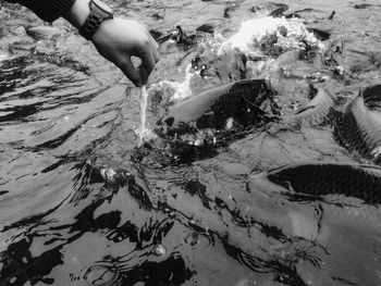 Close-up of person swimming in water