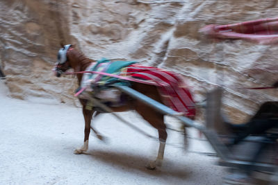 Blurred motion of man riding horse running