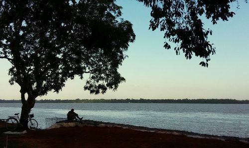 Silhouette woman sitting on tree by lake against clear sky