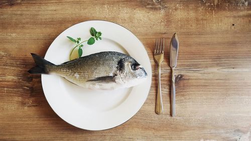 Directly above view of fish served on table