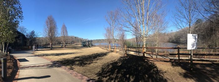 Panoramic shot of bare trees against blue sky