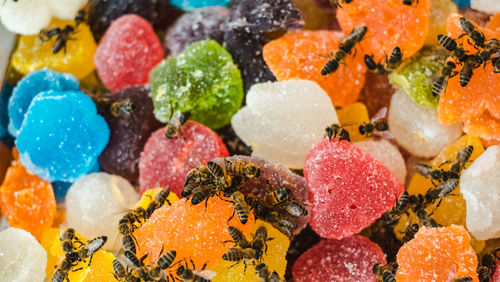 Full frame shot of multi colored candies