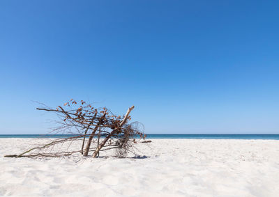 Scenic view of beach against clear blue sky