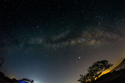 Low angle view of trees against sky at night