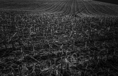 Full frame shot of black background