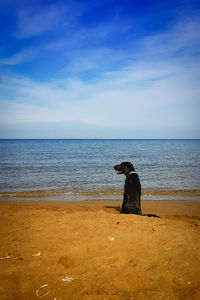 Woman with dog on beach against sky