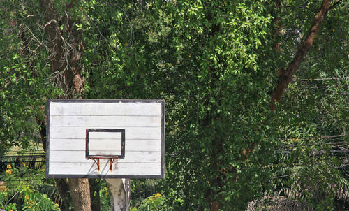 View of basketball hoop in forest