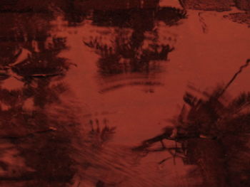 Reflection of silhouette trees on puddle at sunset