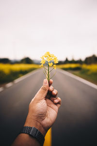 Close-up of hand holding yellow flower on road