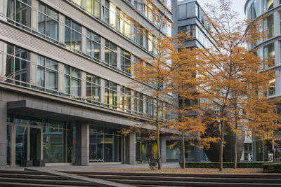 Footpath by building in city