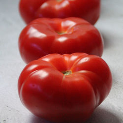 Close-up of tomatoes on table