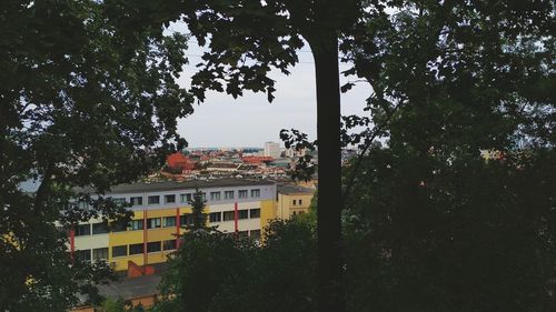 Low angle view of trees and buildings against sky